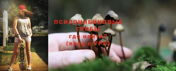 молекула духа Белоозёрский